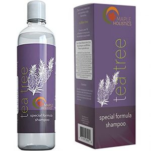 Maple Holistics Shampoo or Massage Oil