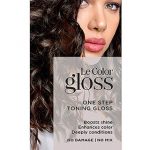 Free Sample of Le Color Gloss by L’Oreal